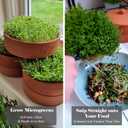 Clay Sprouter Kit | Terracotta Tower with 3 Shallow Germinating Trays, Paper Discs & Free E-Book | 2 in 1 Sprouting Trays Ideal for Germinating Sprouts and Microgreens