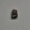 Clip on Ponytails for Women - 12 Inch Curly Ponytail Extension, Wavy Pony Tails Hair Extensions, Synthetic Hair Extensions Ponytail, Clip in Ponytail (Color: Ash Brown with Beige Blonde Highlights)