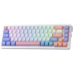 Redragon K709 PRO 65% Wireless Gasket RGB Gaming Keyboard, 68 Keys Hot-Swap Compact Mechanical Keyboard w/Free-Mod Socket, 5-Layer Noise Dampening & Round PBT Keycaps, Quiet Custom Linear Switch (Mint Mambo Switch, Wonder Pink & Blue)