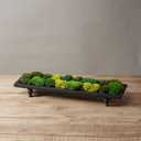 Moss No Bowl 4 Color Mix Pack Preserved Pole Moss Pillow Bun Cushion Natural Decorative DIY Kit Art Wall Florist Easter Decor (1.5 sq.ft, Green-A,B,C-D)