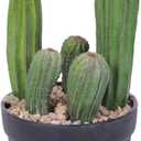 Artificial Cactus 11inch Faux Cactus Fake Cactus Potted Plants for Indoor Outdoor Home Offices Store Decor