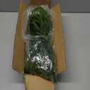 12Pcs Christmas Norfolk Pine Stems,18Inch Artificial Pine Branches for Christmas Decorations, Artificial Greenery Stems Pine Picks for Vases, DIY Crafts, Wreath Garland Making, Home Decor