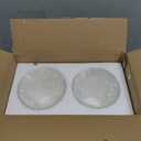 2 Pack Clear Seeded Glass Shade, Modern Light Fixture Replacement Globe or Cover with 1-5/8-Inch Fitter for Chandelier Wall Sconce Pendant Light, G0025