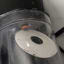 Espresso Machine for Nespresso Capsule, Lavazza Blue & Expert Capsule, Coffee Powder, 19 Bar Pump Pressure Makes Authentic Espresso Coffee, Mini Espresso Coffee Maker with Removable Water Tank.