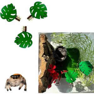 3 Pack Leaf-Shaped Magnetic Jumping Spider Enclosure Ledges with Strong Magnets  Perfect Accessories for Spoods & Jumping Spiders, Durable Habitat Dcor (Terrarium Not Included)