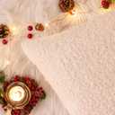 AQOTHES Beige Winter Throw Pillow Covers 12x20 Inch Set of 2, Boucle Faux Fur Pillow Covers,Cozy Fluffy Home Living Room Farmhouse Decor for Sofa Couch Bed