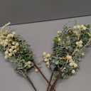 Tinsow 5 Pcs Artificial Berry Stems for Flower Arrangement Christmas White Holly Berry with Eucalyptus Branches for Wedding Bouquet Holiday Home Decor and Crafts (White, 5)