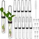 Baderke 12 Pack Plastic Hanging Propagation Tubes Propagation Station Vases Wall Hanging Plant Vase for Planters Hydroponic Office Garden Flowers Decor Lover Gift (Black)