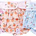 Avont 3 Pack Washable Female Dog Diapers, Reusable Period Diapers Cover for Girl Doggies Heat Cycle, Incontinence -Strawberry/Orange/Cherry(M)