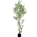 Quibbay Artificial Olive Tree, 6FT Tall Faux Silk Plant for Home Office Decor, Fake Olive Trees with Natural Wood Trunk and Lifelike Fruits, Fake Potted Olive Silk Tree, Artificial Plants for Gift