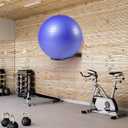 Medicine Ball Rack - Wall Mount Stability Ball Storage Rack(1 Black)