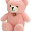 12inch Teddy Bear Stuffed Animal with Necklace, Soft Teddy Bear Plush Toys, Birthday Xmas Gifts for Kids (Pink)