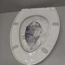 Jool Baby Quick Flip Toilet Seat with Built-in Potty & Splash Guard for Toddler Training, Slow Close (Elongated)