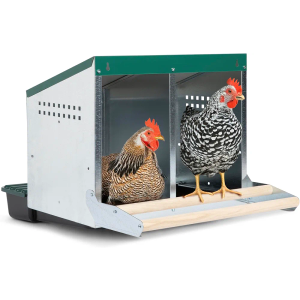 2 Compartment, Reverse Rollout & Rollaway, Hen & Chicken Nesting Box with Integrated Wood Perches and Protective Egg Laying Collection Lids