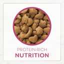 Fancy Feast Purina Filet Mignon Flavor with Real Seafood & Shrimp Dry Cat Food (7 Ounce (Pack of 1)) (EXP 01/01/27)