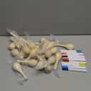 40Pcs DIY Wooden Maracas for Kids, Mini Maracas for Mexican Fiesta Party Favors with 24Pcs Multicolor Pens, Cinco De Mayo Party Supplies (Natural)