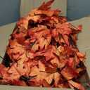 6FT Fall Tree with Lights, Thanksgiving Decorations Warm White 120 LED Maple Tree, Prelit Artificial Thanksgiving Tree, Dimmable Autumn Tree Light, Fall Home Indoor Harvest Outdoor Decor