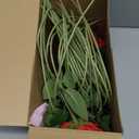 Hotop 40 Pcs Rose Artificial Flowers Bulk with Long Stem,Realistic Silk Fake Roses Bouquet for Home Wedding Centerpieces Party Table Decoration Valentines Gifts(Red)