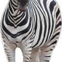 Life Size Cardboard Cutout Standup | Waterproof | Animals - Zebra