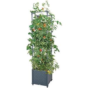GREEN MOUNT Raised Garden Bed Planter Boxes with Trellis for Climbing Vegetables Plants Tomato Cage