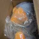 ALL FOR PAWS Heartbeat Puppy for Dogs, Dog Anxiety Relief and Calming Aid Toys, Heartbeat Stuffed Animal Toy for Behavioral Training, Snuggling Plush Toy for Puppy Sleep Aid, Grey Sheep