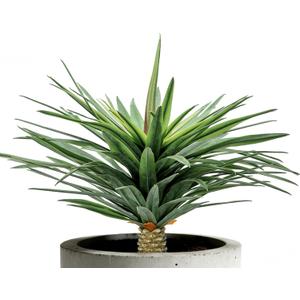 Saki Dcor Artificial Agave Plant - 24 Inch UV Resistant Faux Agave Succulent for Outdoor Patio & Garden - Lifelike Medium Size Unpotted Fake Plant for Indoor Home Decor (Green)