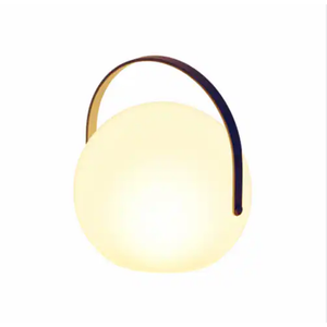 Globe Indoor/ Outdoor Lantern