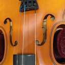 LeSage Violin 1/2 Set,Spruce Top, Maple Back & Sides, Ebony Fingerboard & Pegs,Aluminum-Magnesium Alloy Strings, Ebony Bow, Wood Shoulder Rest,with Case,Tuner, Rosin,Mute,Fingerboard Stickers