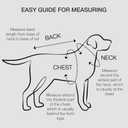 2 x 2-Pack MAX - The Hardy Reflective Dog Collar & 6ft. Leash for All Pet Breeds, Pink, X-Small