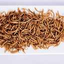 kimoe Non-GMO Bulk Dried Mealworms 10LB Bag for Chickens, Ducks & Wild Birds  100% Natural High-Protein Feed to Boost Egg Production, Feather Health & Immunity