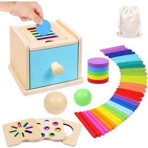 Montessori Toys for 1 2 3 Year Old, 4-in-1 Wooden Montessori Coin Box, Object Permanence Ball Drop Learning Color Sorting Toys for Toddlers 1-3, Gifts for 18 Months Baby Boys Girls