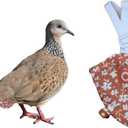 Bird Diaper Chicken Diapers Duck Diaperalls for Hens, Roosters, Ducks, Ducklings, Birds - Reusable, Adjustable by Uni Infinity (Pink Floral, Bird Medium, 1, Count)
