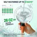 6 Pack 26 oz Extra Large Plant Self Watering Globes to 3 Weeks Watering | Shuomeng Extra Large Self Watering Globes, Slow Release Watering Bulbs for Plants,Durable for Vacation, Gift for Plant Lovers