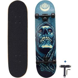 31 inch Pro Skateboard Complete,7 Layer Maple Wood Double Kick Concave Skateboards, Tricks Skateboards for Teens, Beginners, Girls, Boys, Kids, Adults (Pray)