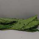 35" Ferns Artificial Bush Plants Large, 2 Artificial Boston Ferns with 39 Fronds for Outdoors Home Decor