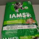 IAMS Proactive Health Minichunks Premium Dry Dog Food, Adult Dog Food Dry Recipe, 15 lb. Bag (EXP 07/10/27)