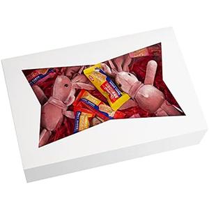 SOROO 14-Pack 10inch White Pastry Bakery Cookie Box,10x7.75x2.5inch Large Donuts,Muffins,Cookies Boxes with PVC Window - Auto-Pop up Paper Box Nature Cardboard Take Out Container,Pack of 14