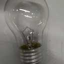 Appliance Oven Light Bulb A15 40W High Temperature 500 Degrees Resistant for Refrigerator Over Stove Microwave Range Hood Lava Lamp Replacement Bulb E26 Medium Base 120V Warm White