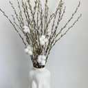 20PCS Real Dried PussyWillow Branches Tall 27 Inches Natural Decorative Branches with White Buds Long Birch Stems for Vase Spring Easter Home Decor