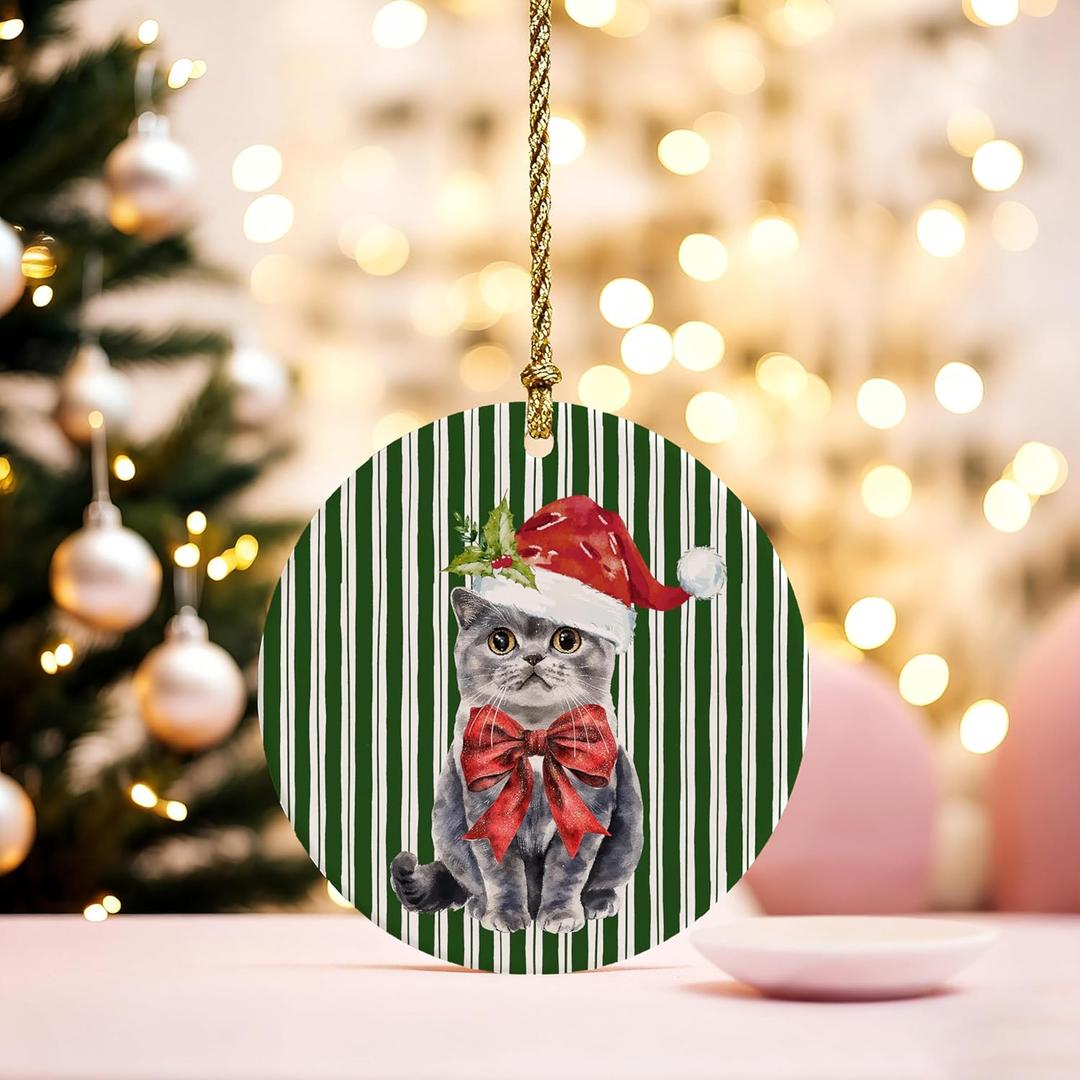 British Shorthair Cat Christmas Ornament Decorations, Cat Mom Lady Lovers Gifts, Green Striped Christmas Santa Kitten Holiday Decorative Hanging Ceramic Ornaments for Xmas Tree Party