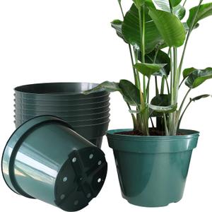 Pack of 10 Green Plastic Planter Pots, 10 Inch Thick with Multiple Drainage Holes, for Herbs, Strawberries, Flowers - Indoor/Outdoor