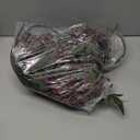 Zeyune 3 Pcs Artificial Dusty Plum Berry Stem Spring Faux Flowers Picks Branches Fake Realistic Sedum Stem Spray for Wedding Holiday Seasonal Farmhouse Mantel Harvest DIY Home Decorations(35 Inch)