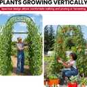 Garden Arch Trellis for Climbing Plants Outdoor, 7 Ft Tall Cucumber Trellis for Raised Bed, Metal Archway Arbor Trellis Support for Vegetables Beans Squash Peas Grape Vines Flowers