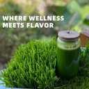 Barley Grass Juice Powder | Rich in Vitamins, Minerals, Fibers & Antioxidants | Raw, Clean & Alkalizing Superfood for Energy, Immune Health, and Digestion - 5.3 OZ