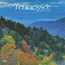 Tennessee Wild & Scenic | 2025 12 x 24 Inch Monthly Square Wall Calendar | Plastic-Free | BrownTrout | USA United States of America Southeast State Nature