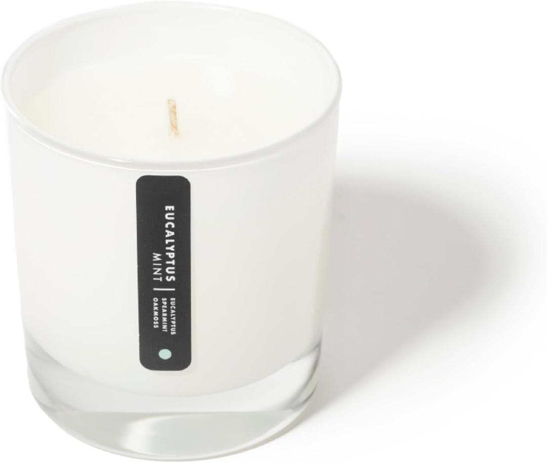 ScentAir- Scented Glass Jar Candle - Eucalyptus Mint