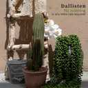Dallisten 6 Pcs Artificial Succulents Hanging Plants, Fake String of Pearls Greenery Plants, Decoration for Wall, Home, Backdrop, Garden, Indoor and Outdoor