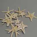 12 PCS Starfish | 2.5-6 Inch Starfish Decor | Natural Bulk Starfish Shells Perfect for Crafts Making Beach Theme Party Wedding Decoration, Home Wall Decor, Christmas Ornaments, Fish Tank