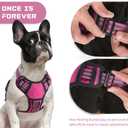 BUMBIN Dog Harness for Large Dogs, No Pull Adjustable No Choke Pet Vest with Dog Leash Fit Smart Reflective Pet Walking Harness for Training Easy Control Soft Handle (Rose Red M)