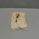 Champagne Vintage Velvet Bows Decorations Small Ornaments for Christmas Tree, Garland, Wreath, Door, Outdoor (24 Pcs, 5 * 7 Inch)